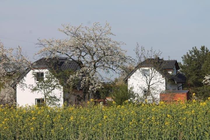 Domek W Bialej - Mak Marcinowice Exteriér fotografie